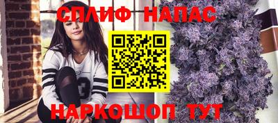 спиды Будённовск